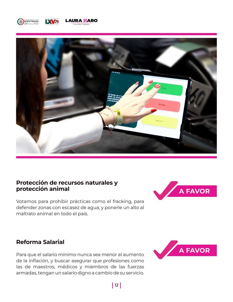 Página 12 del Informe