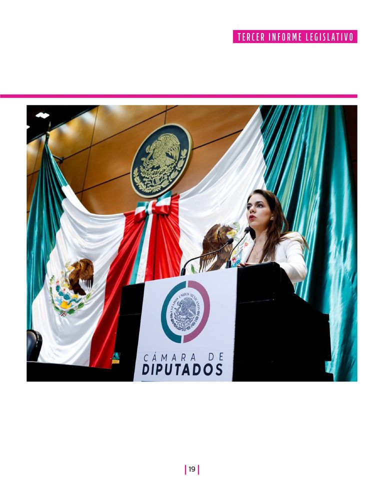 Página 19 del Informe