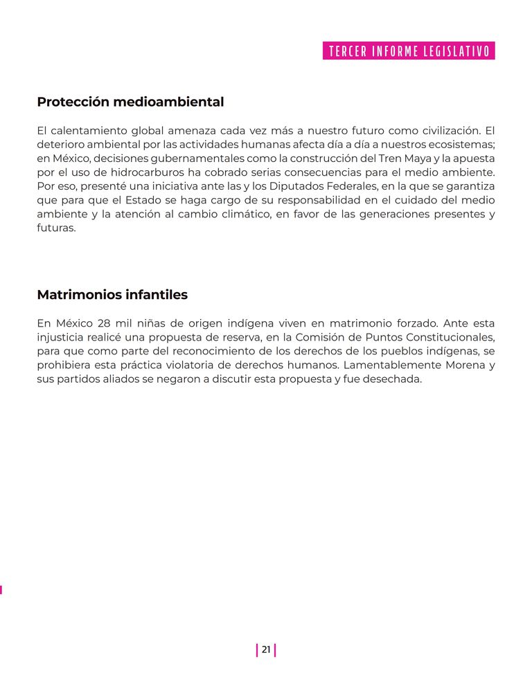 Página 21 del Informe