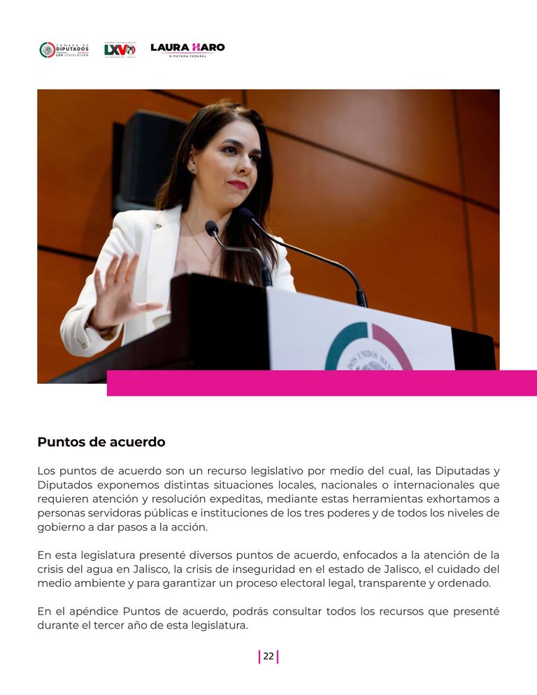 Página 22 del Informe