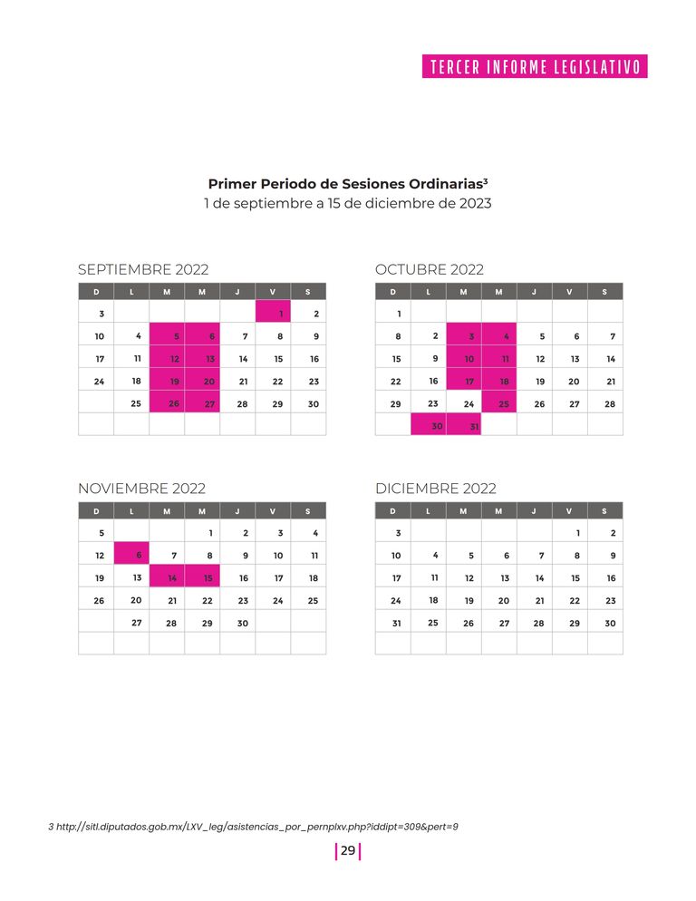 Página 29 del Informe