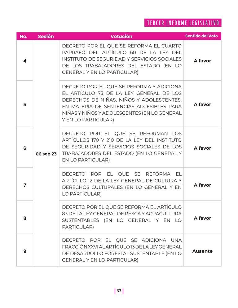 Página 33 del Informe