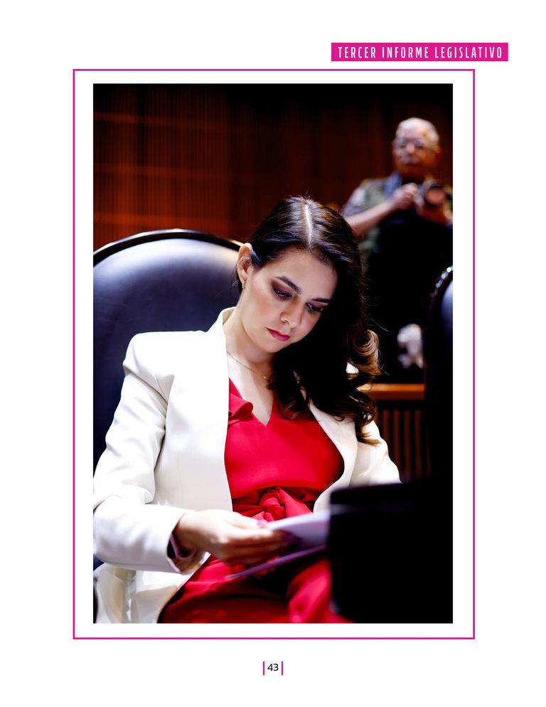 Página 43 del Informe