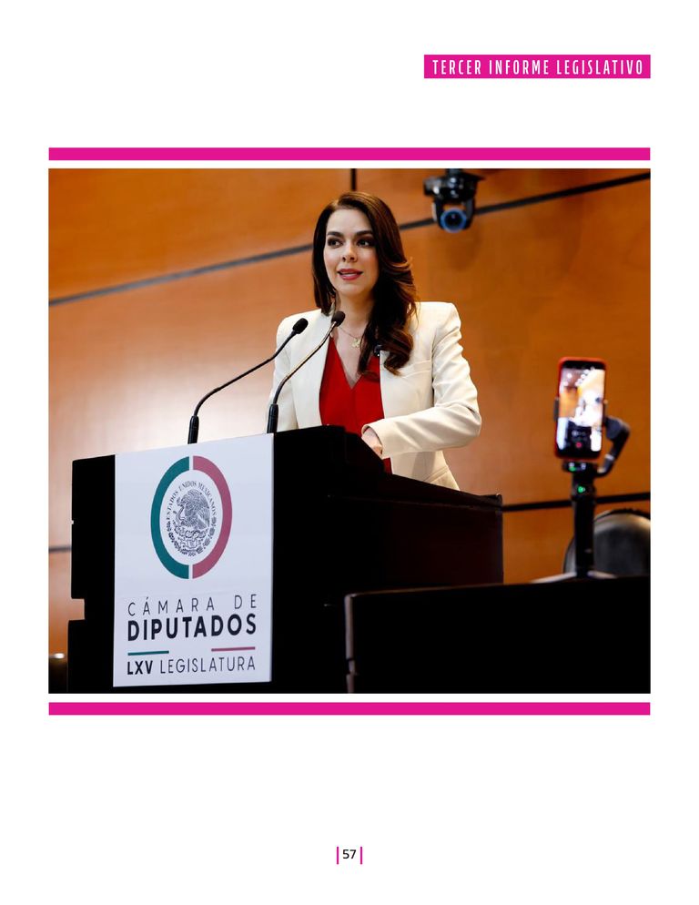 Página 57 del Informe