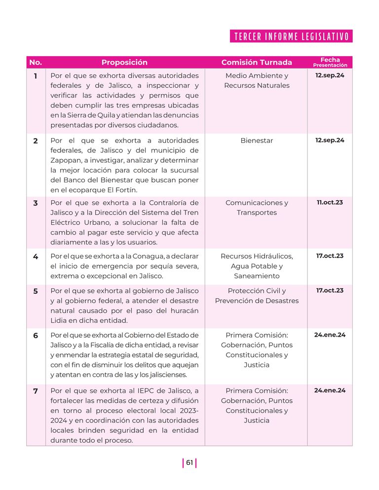 Página 61 del Informe