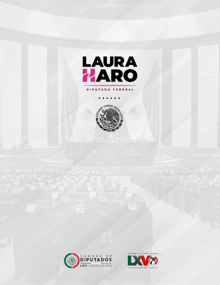 Página 64 del Informe